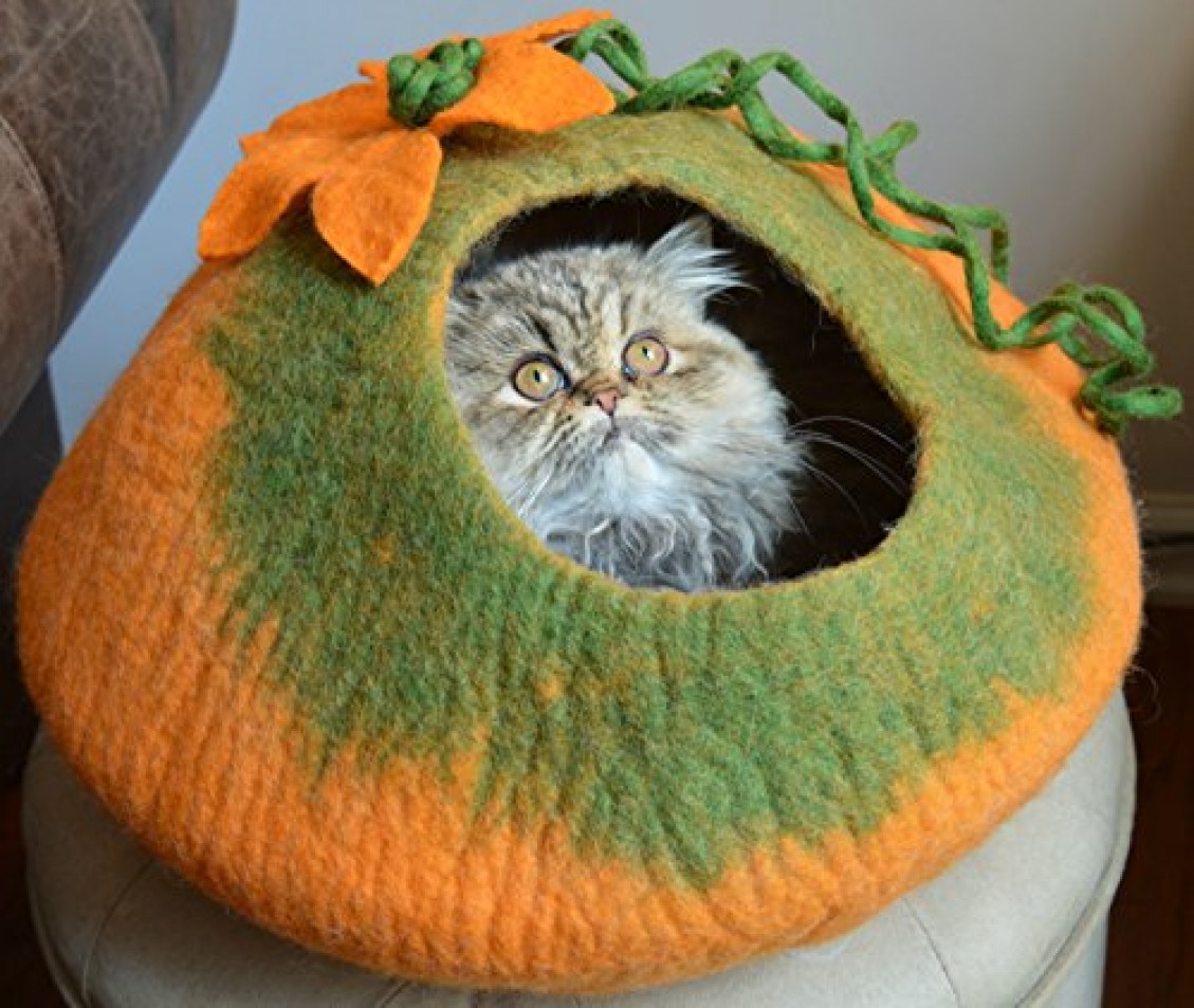 best cat cave beds