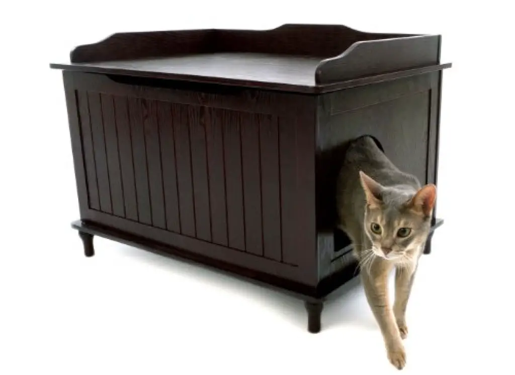 Designer Catbox Litter Box Enclosure in Espresso Purrfect Cat Breeds