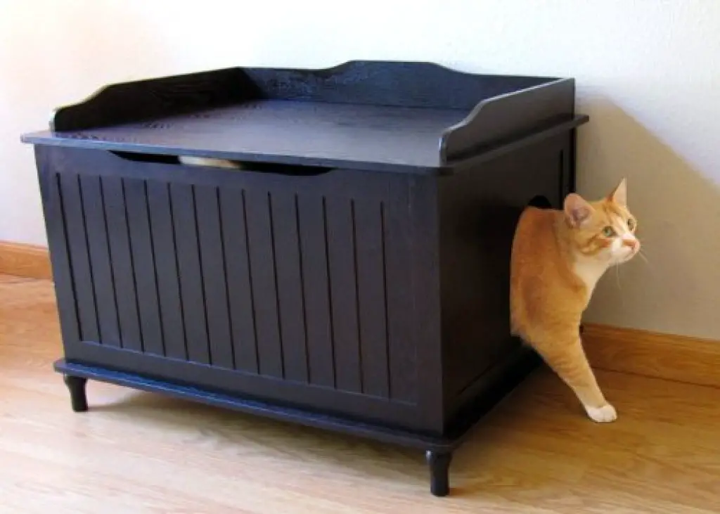Designer Catbox Litter Box Enclosure in Espresso Purrfect Cat Breeds