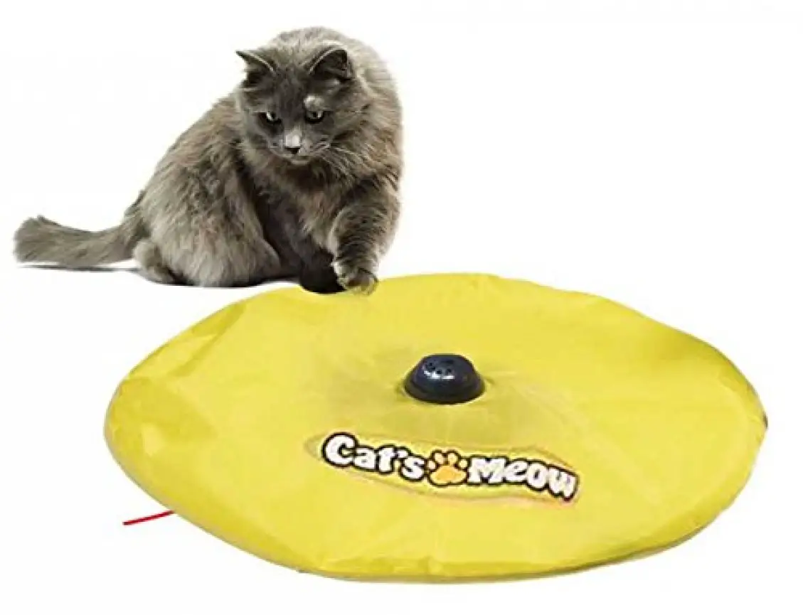 best moving cat toys