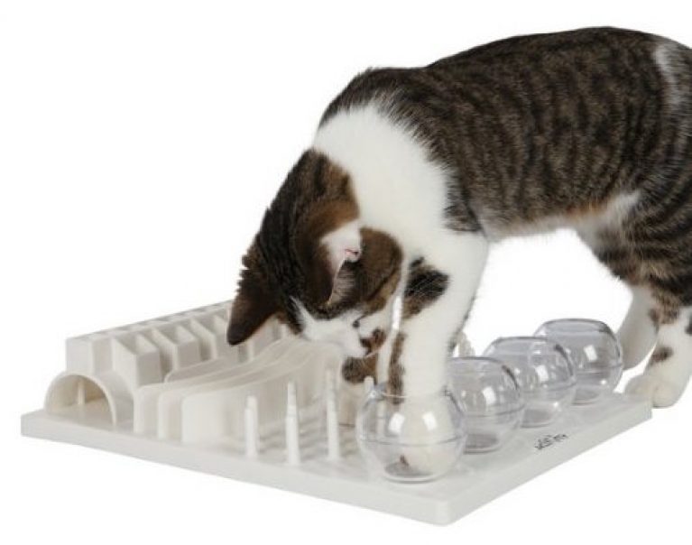 best cat puzzle toys