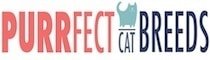 Purrfect Cat Breeds