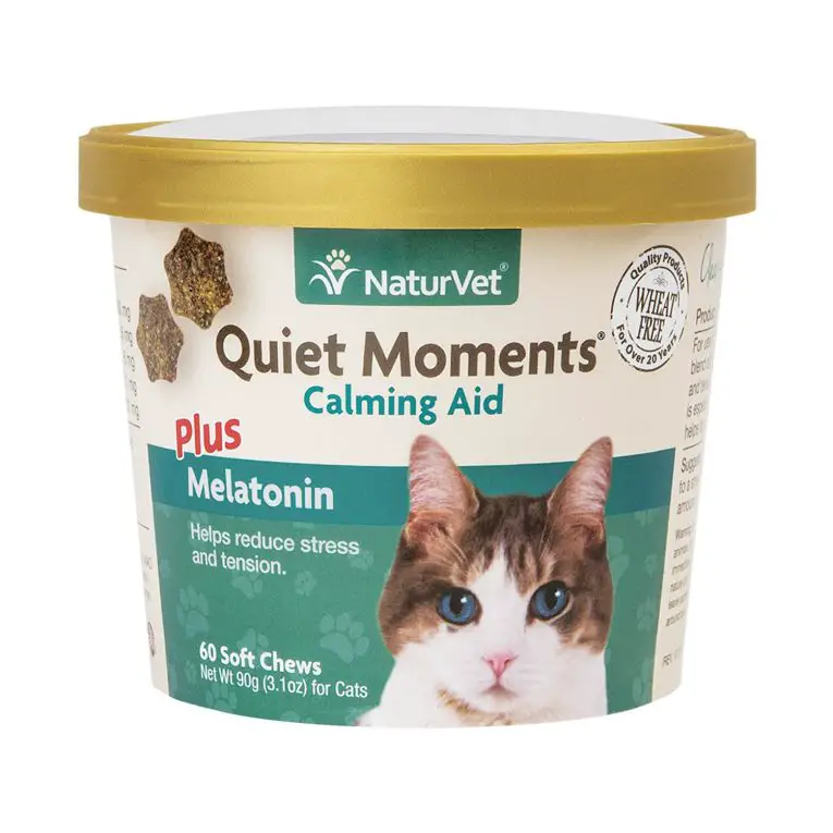 Top 5 Cat Calming Treats to Give Your Cat Some Kitty Zen Purrfect Cat