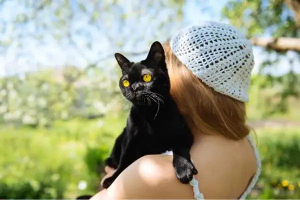 bombay cat on womans shoulder